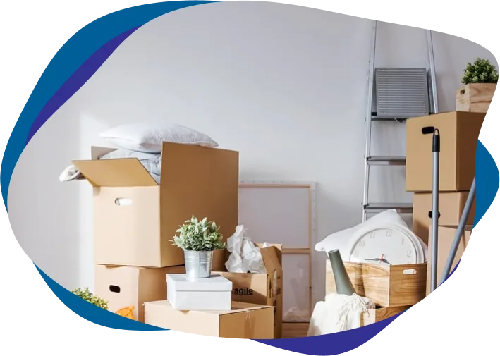 Professional moving in and out cleaning service