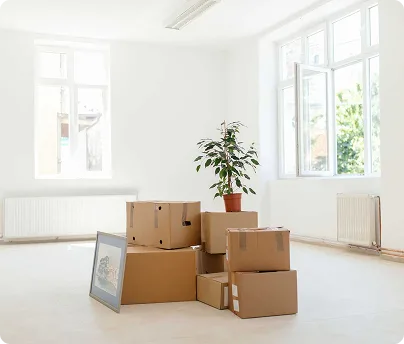 Move-In/Move-Out Cleaning